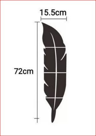 6 miroir plume de décoration 3D72/15