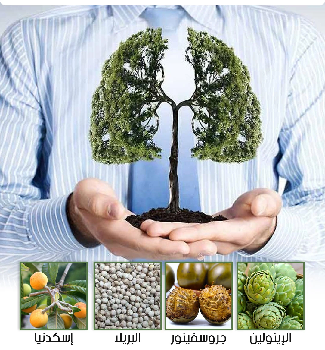 بخاخ لتنظيف الرئة بخلاصة الأعشاب الطبيعية - Sprays Sinusitis Treatment Lung Detox Herbal